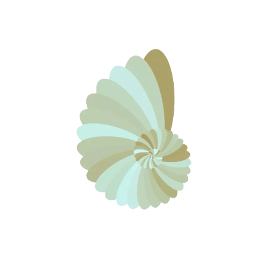 shell