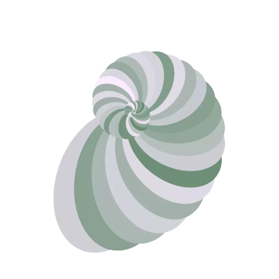 shell