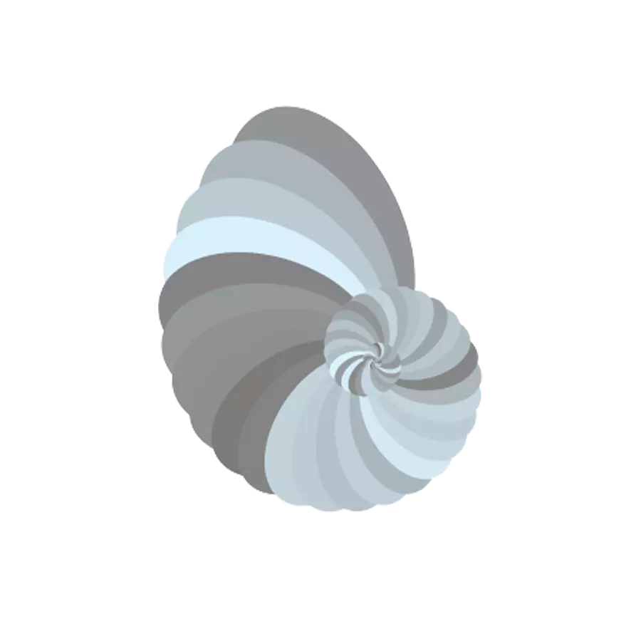 shell